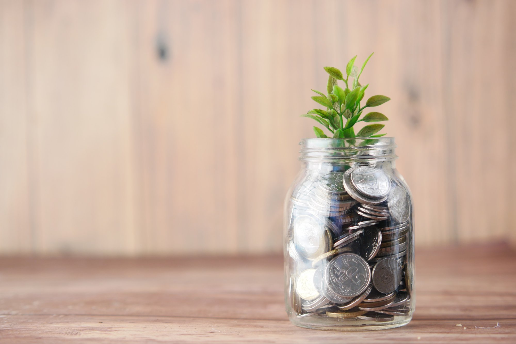 A pot with coins and a plant