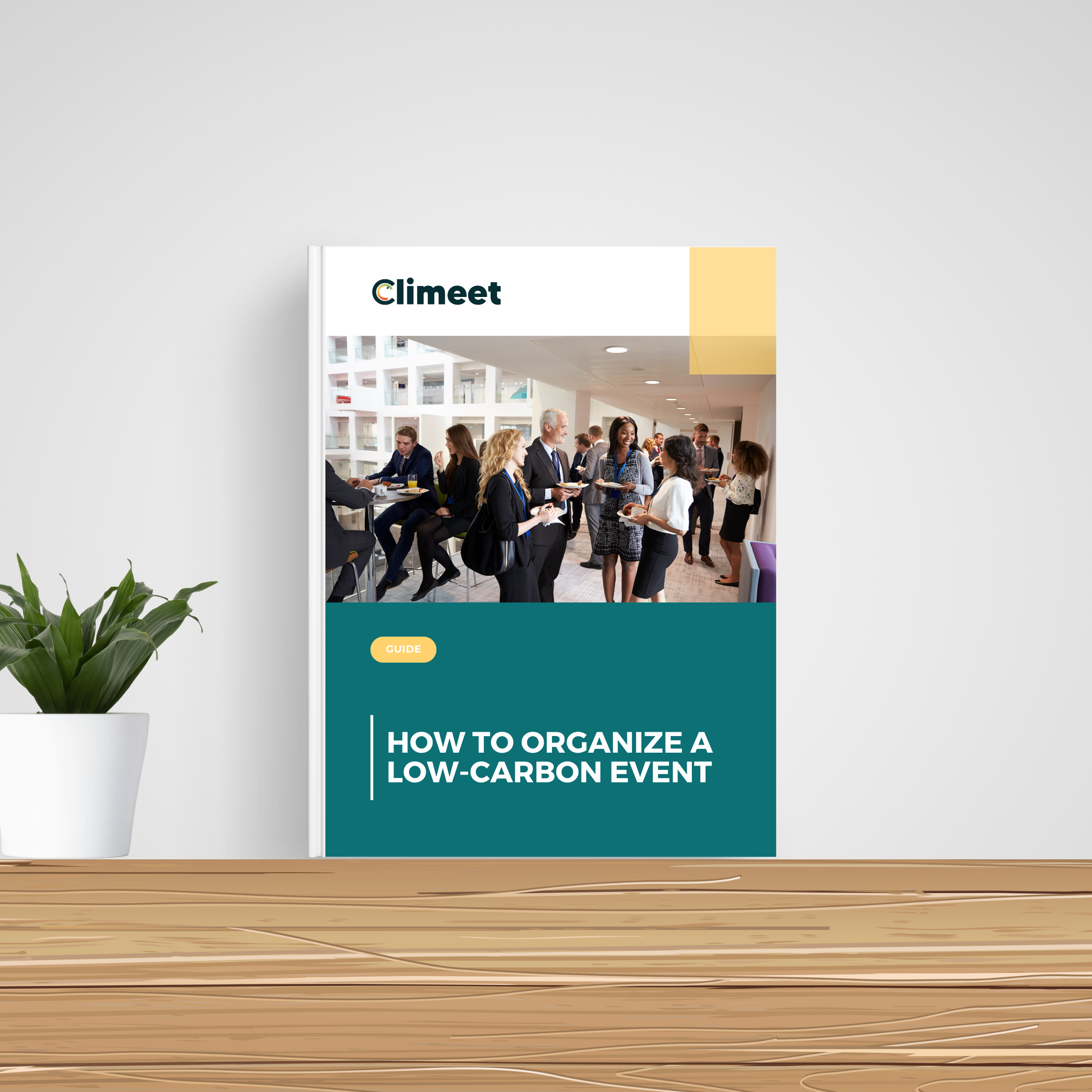 Site_Visuel landing page livre blanc et guide